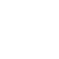 Bioventus Inc.