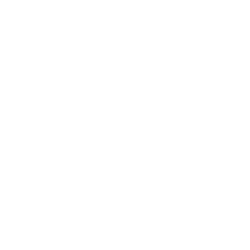 Ferrari N.V.